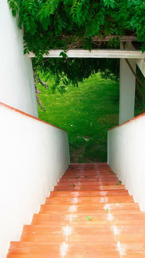 D'Vine - Country House Cartaxo Exterior foto